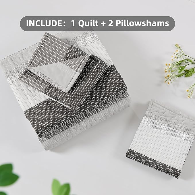 Andency California King Quilt Set - Image 8