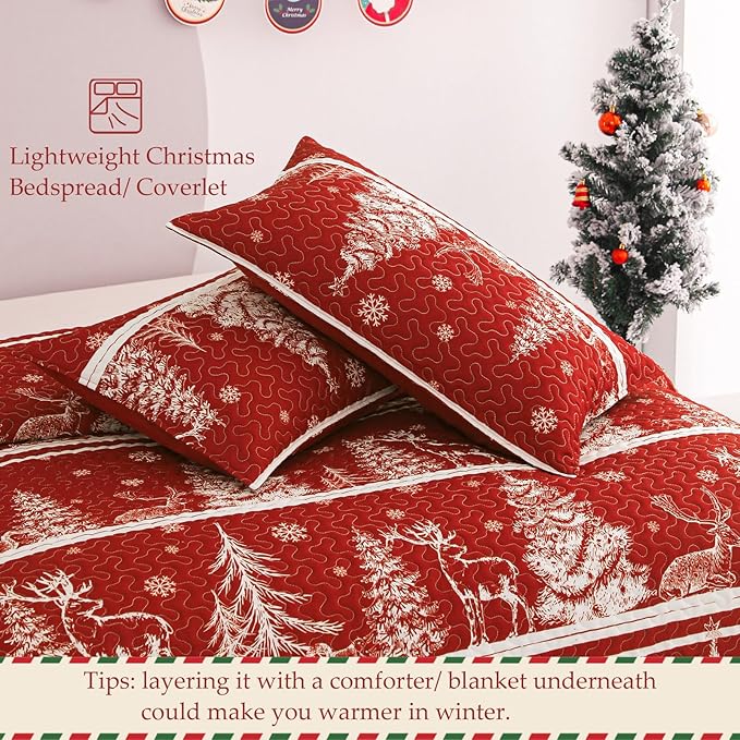 Exclusivo Mezcla Reversible Christmas Quilts Twin Size - Image 5