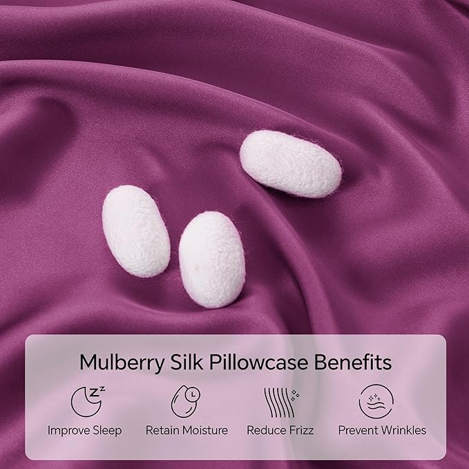 INFIIXSO Silk Pillow Cases 2 Pack Standard Size, Ultra Smooth & Soft Mulberry - Image 2