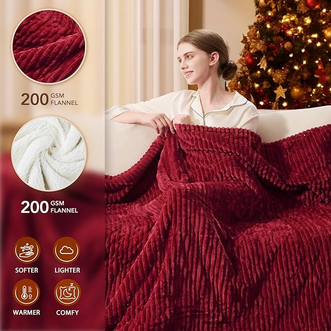 Homemate Electric Heated Blanket Queen Size - Image 2