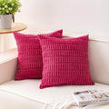 Aegero Pack of 2 Corduroy Decorative Throw Pillow Covers 22x22 Inch Soft by Unknown