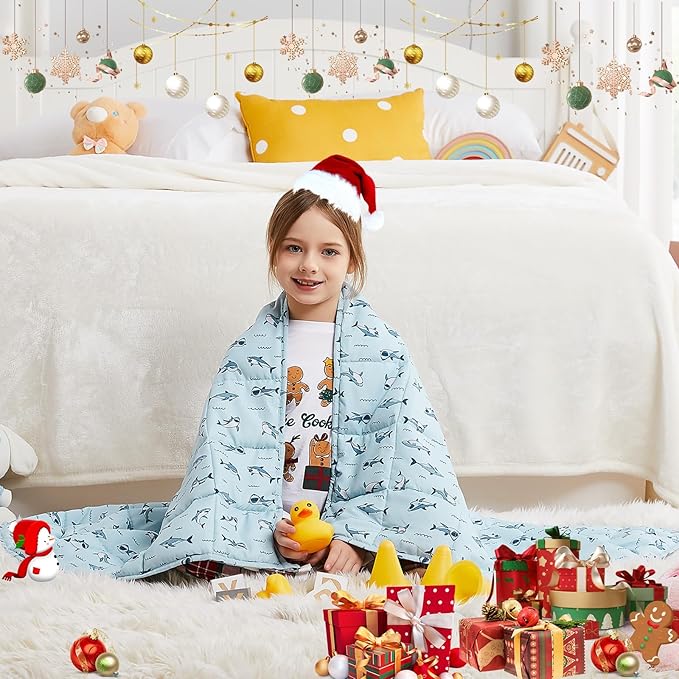 HOSUKKO Weighted Blanket - Image 5