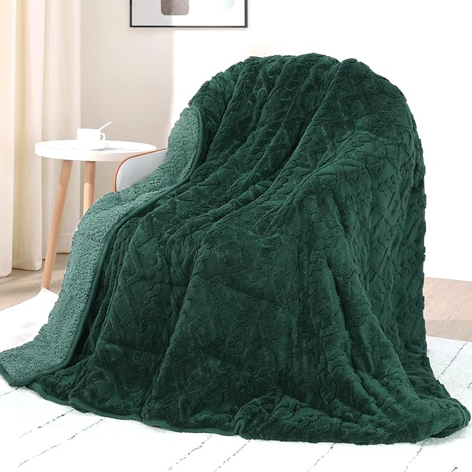 Drewin Queen Size Weighted Blanket by Home