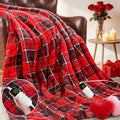 Heated Electric Blanket Twin Size, 62X84 Heating Blanket, Fast Heating Washable by OCTROT