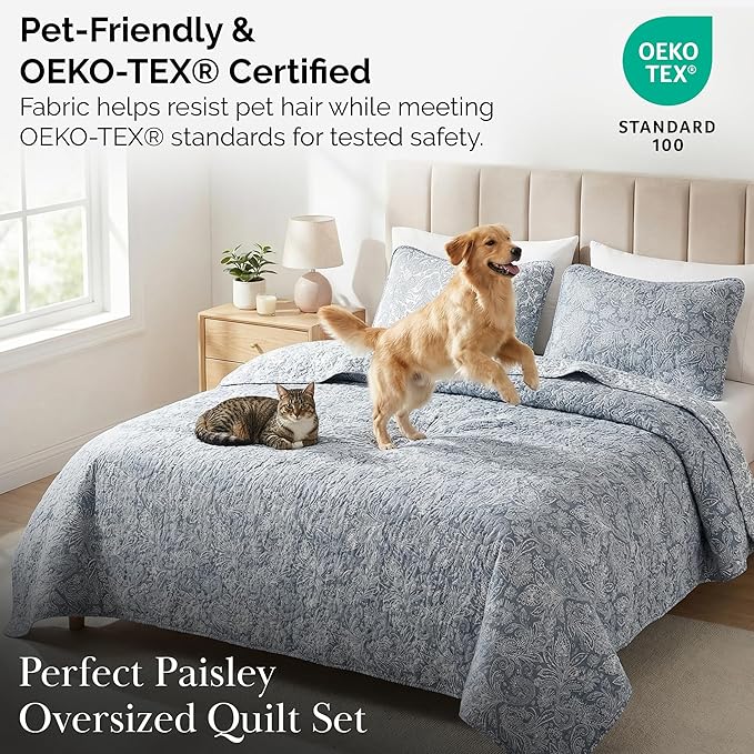 Southshore Fine Living, Inc. Twin XL Quilt Bedding Set, Dorm Bedding Essentials - Image 5
