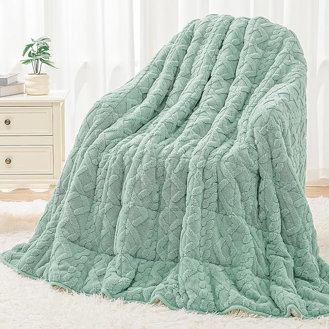 Wemore Weighted Blanket for Adults Twin Size 20 lbs, Dual Sided Soft Fuzzy by WemoreDirect