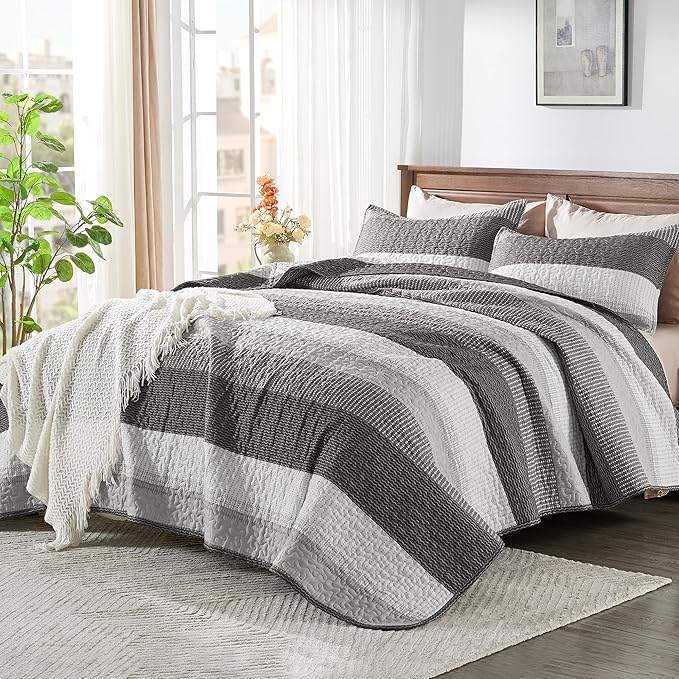 Andency California King Quilt Set - Image 2