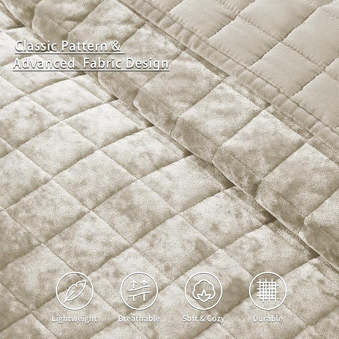 LEAONME Velvet Quilt King Size-98''x106'', Lightweight Beige Velvet Comforter Set with 2 Pillow Shams, Soft Bedspread Coverlet Quilted Bedding Set for All Season