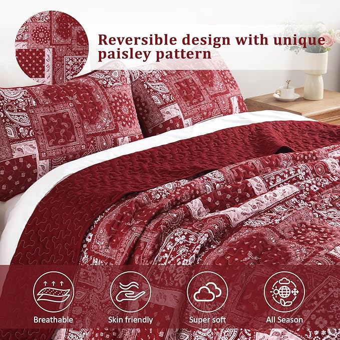 Cottolester Queen Quilt Set 3 Pieces, Soft Microfiber Boho Farmhouse Bedspread - Image 3